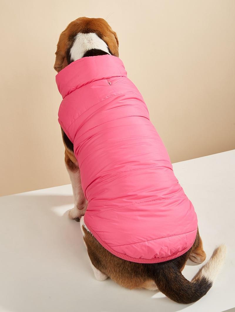 Hundemantel-Winter